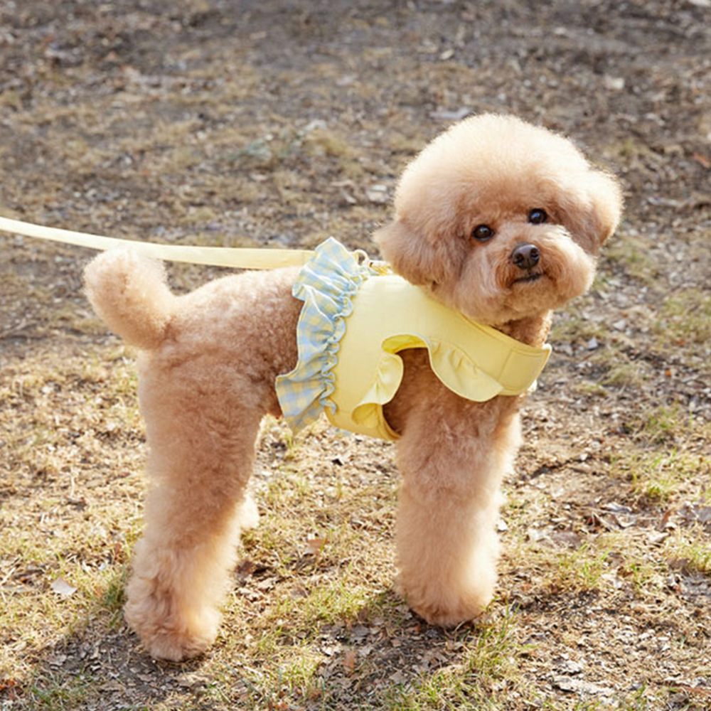 Dog Color Contrast Traction Ro - огляд і ціна Lace Teddy Lingerie